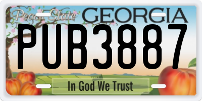 GA license plate PUB3887