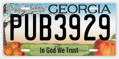 GA license plate PUB3929