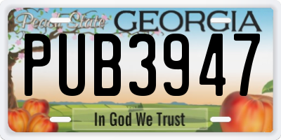 GA license plate PUB3947
