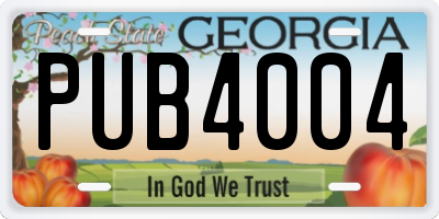 GA license plate PUB4004