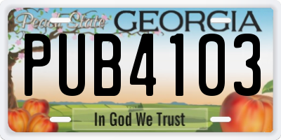 GA license plate PUB4103