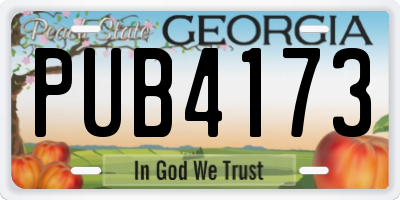 GA license plate PUB4173