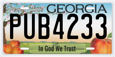 GA license plate PUB4233