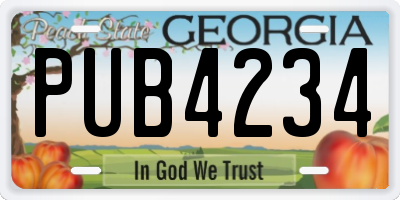 GA license plate PUB4234
