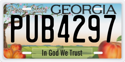 GA license plate PUB4297