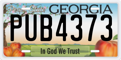GA license plate PUB4373