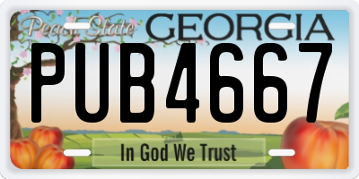 GA license plate PUB4667