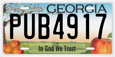 GA license plate PUB4917