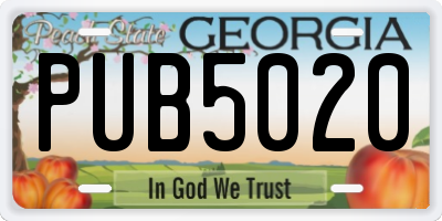 GA license plate PUB5020