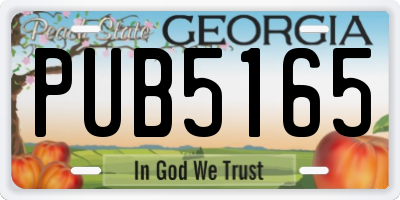 GA license plate PUB5165