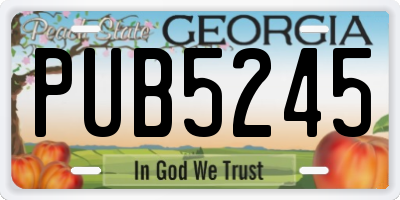 GA license plate PUB5245