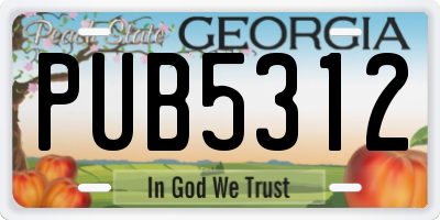 GA license plate PUB5312