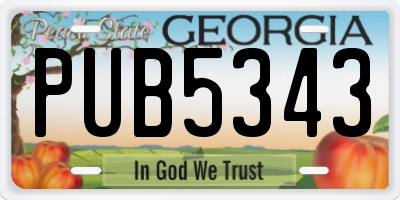 GA license plate PUB5343