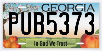 GA license plate PUB5373