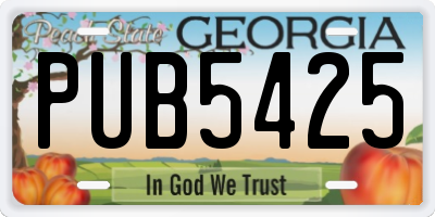 GA license plate PUB5425