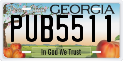 GA license plate PUB5511