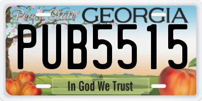 GA license plate PUB5515