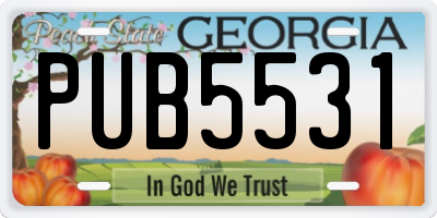 GA license plate PUB5531