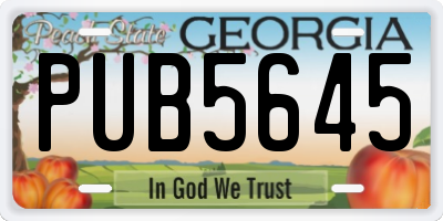 GA license plate PUB5645