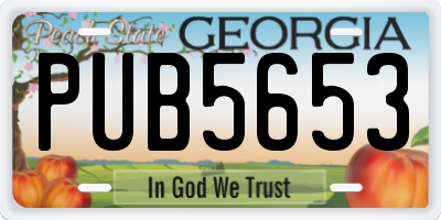 GA license plate PUB5653