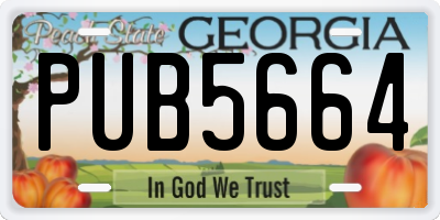 GA license plate PUB5664