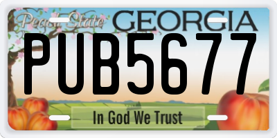 GA license plate PUB5677