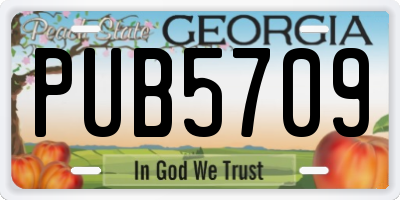 GA license plate PUB5709