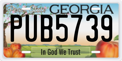 GA license plate PUB5739