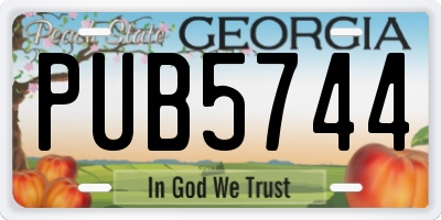 GA license plate PUB5744