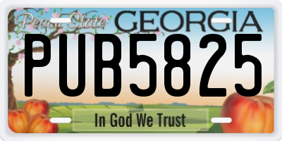 GA license plate PUB5825