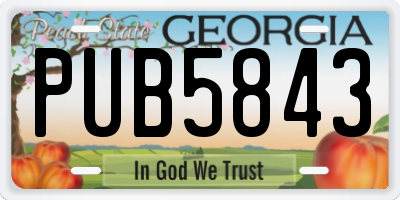 GA license plate PUB5843