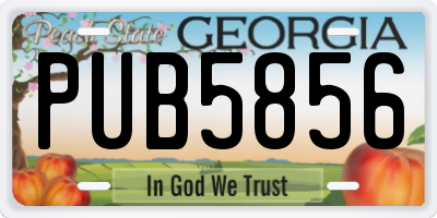 GA license plate PUB5856