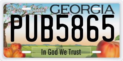 GA license plate PUB5865