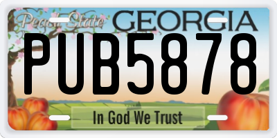 GA license plate PUB5878
