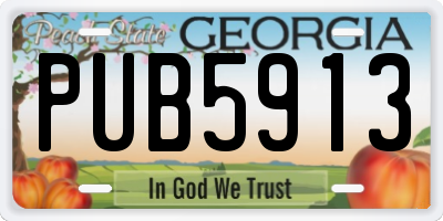 GA license plate PUB5913