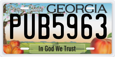 GA license plate PUB5963