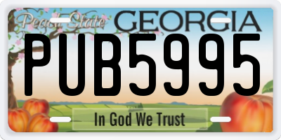 GA license plate PUB5995