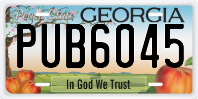 GA license plate PUB6045
