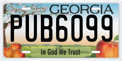 GA license plate PUB6099