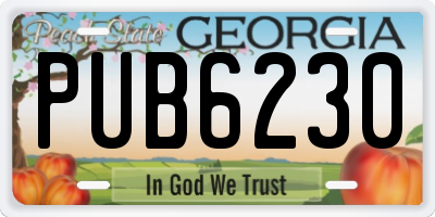 GA license plate PUB6230