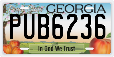 GA license plate PUB6236