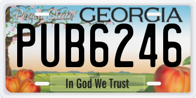 GA license plate PUB6246