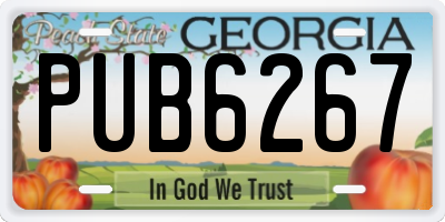 GA license plate PUB6267