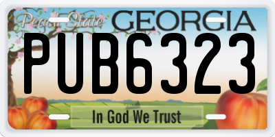 GA license plate PUB6323