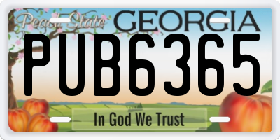 GA license plate PUB6365