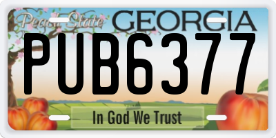 GA license plate PUB6377