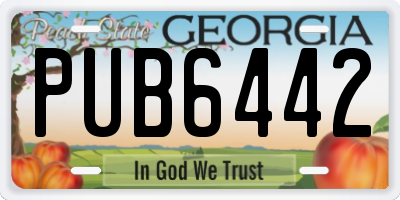 GA license plate PUB6442