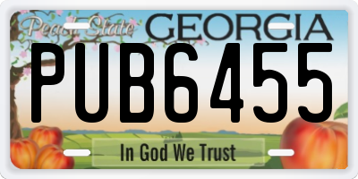 GA license plate PUB6455