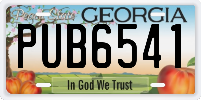 GA license plate PUB6541