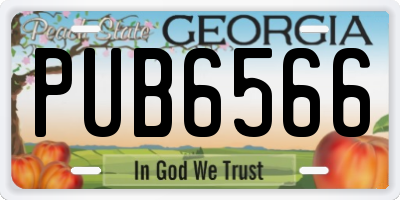 GA license plate PUB6566